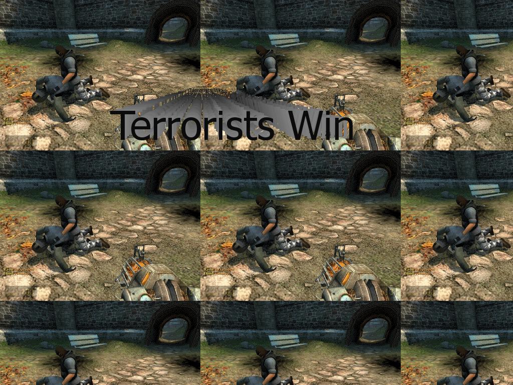 cs-terroristswin