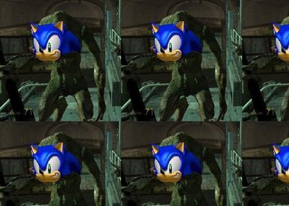 Sonic give vortigaunt advice!
