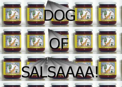 Dog of salsa