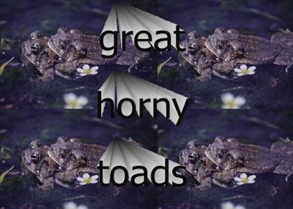 horny toads