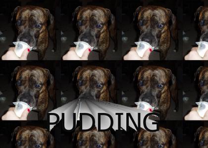 I LOVE pudding.