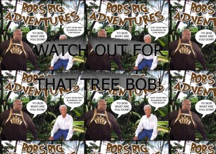 BOB BARKERS ADVENTURES