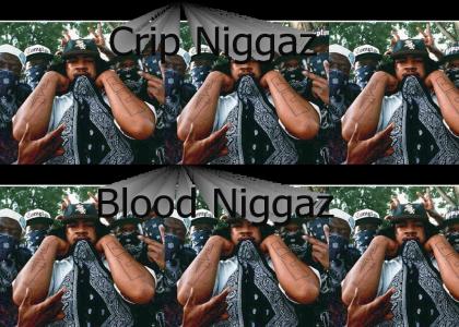 Crip Niggaz, Blood Niggaz