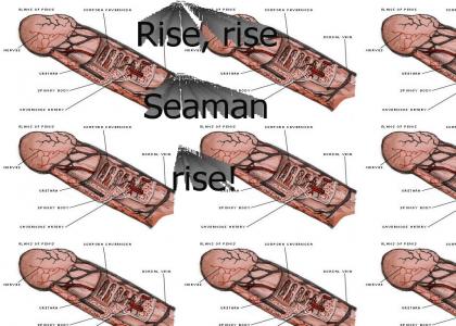 Rise, rise seamen rise!