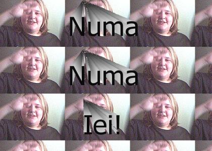 New Numa Numa