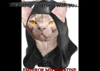 Emperor Meowmatine!