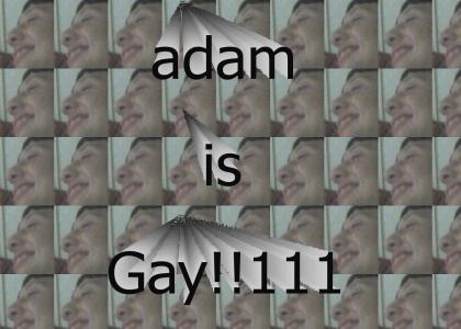 adam is gay!!111
