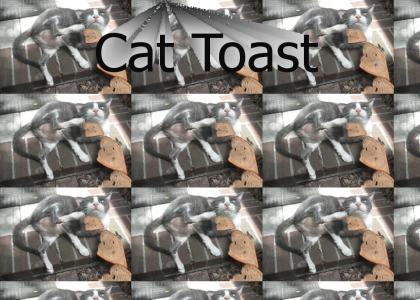 cat toast