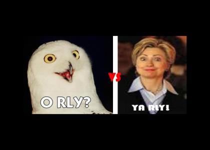 Hillary Clinton VS O RLY Owl