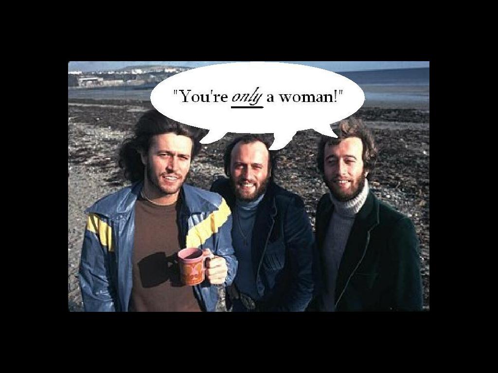 sexistbeegees