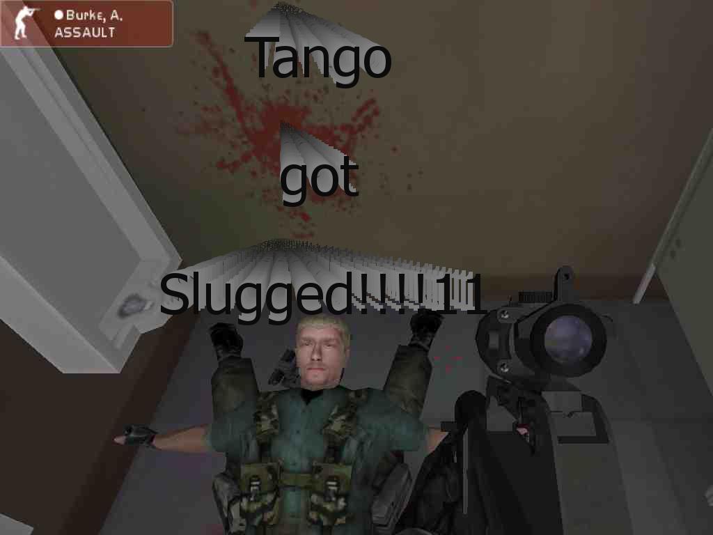 tangoflip