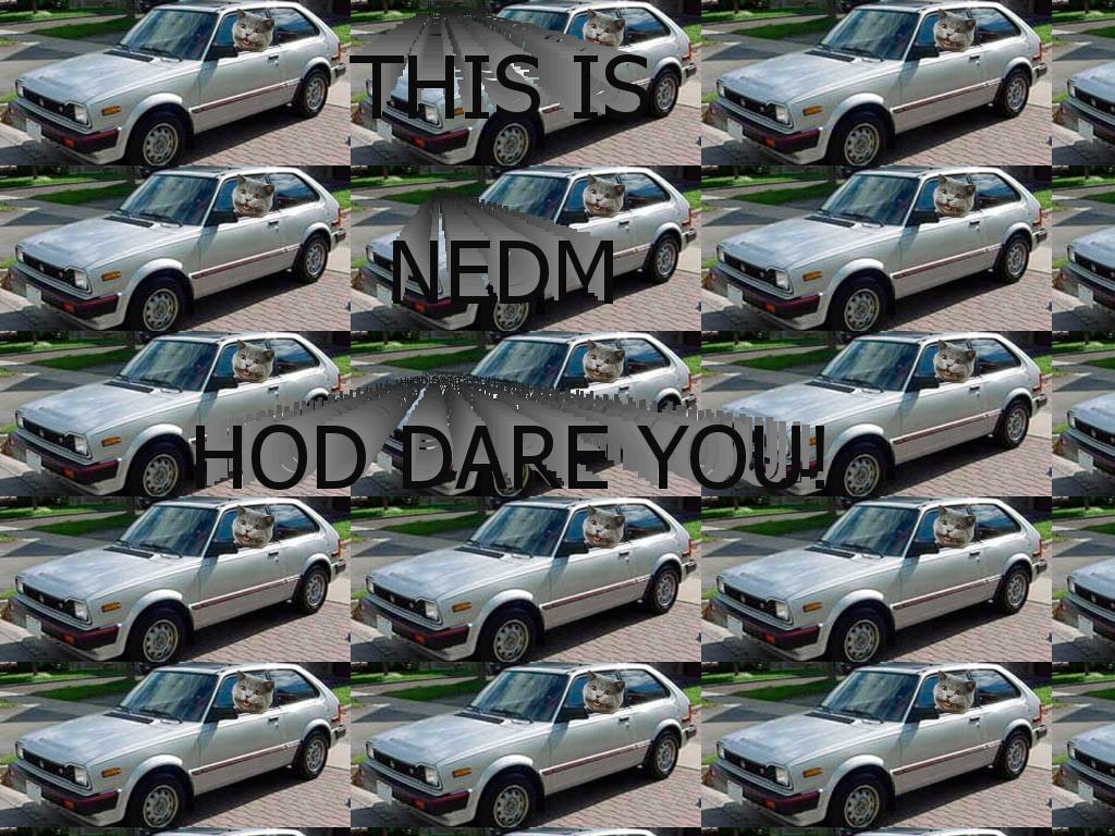 thisisnedmhowdareyou