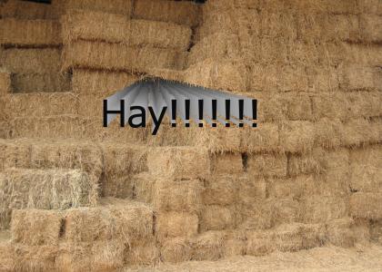 Hay!!!!!