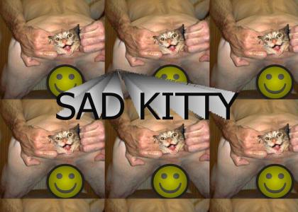 Sad kitty