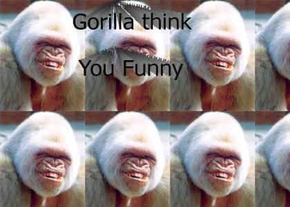 Gorilla laugh at you!
