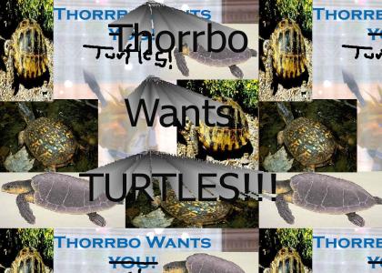 Thorrbo wants TURTLES