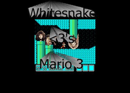 Whitesnake Loves Mario 3