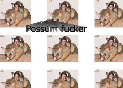 demo fucks possums