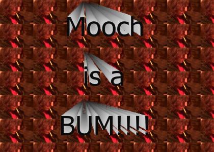 Mooch as