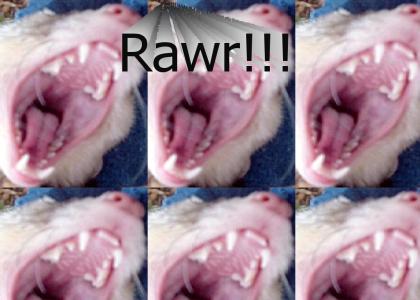 Ferret roar!!!