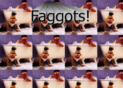 Ernie and Burt are Gay