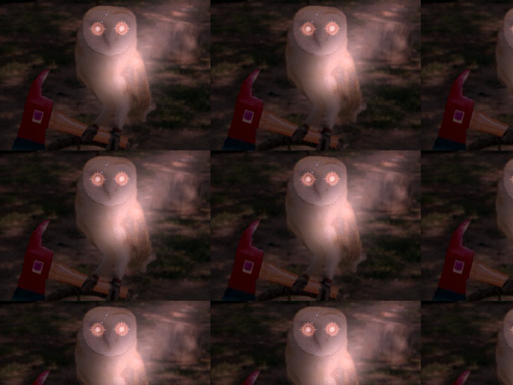 evilorlyowl