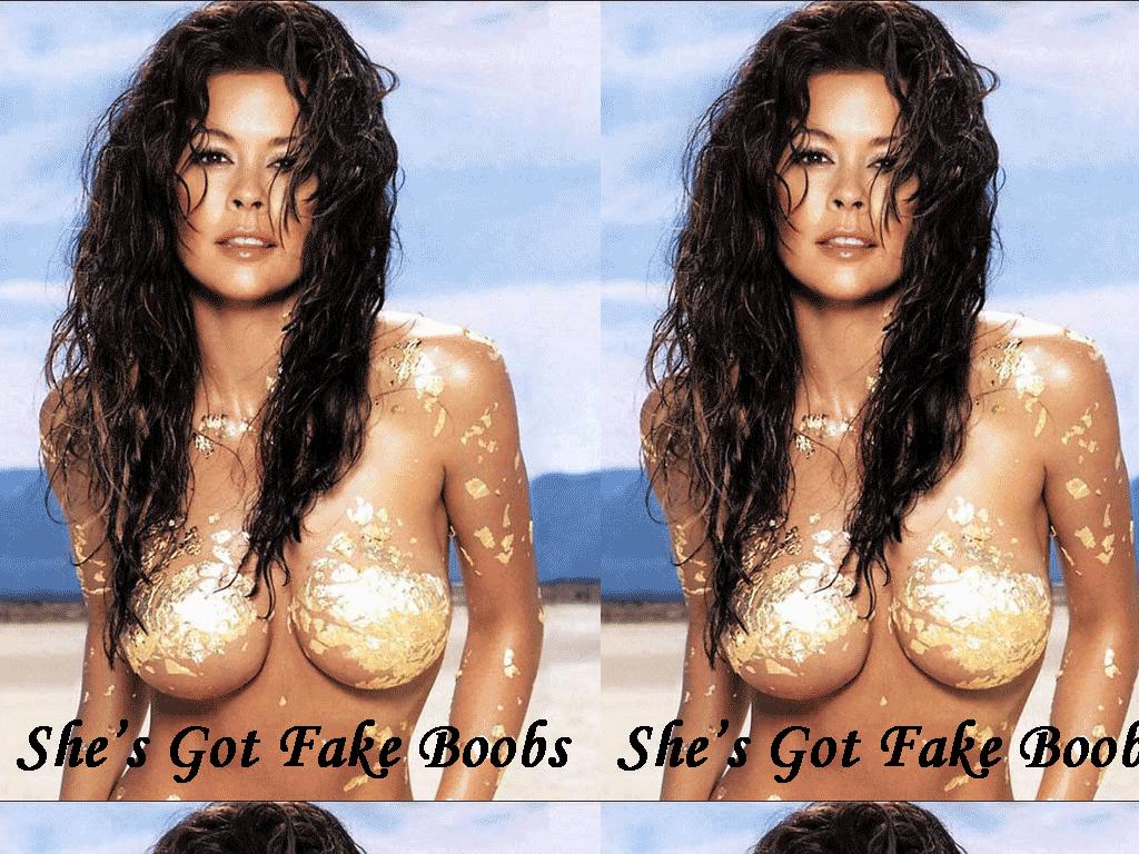 fakeboobs