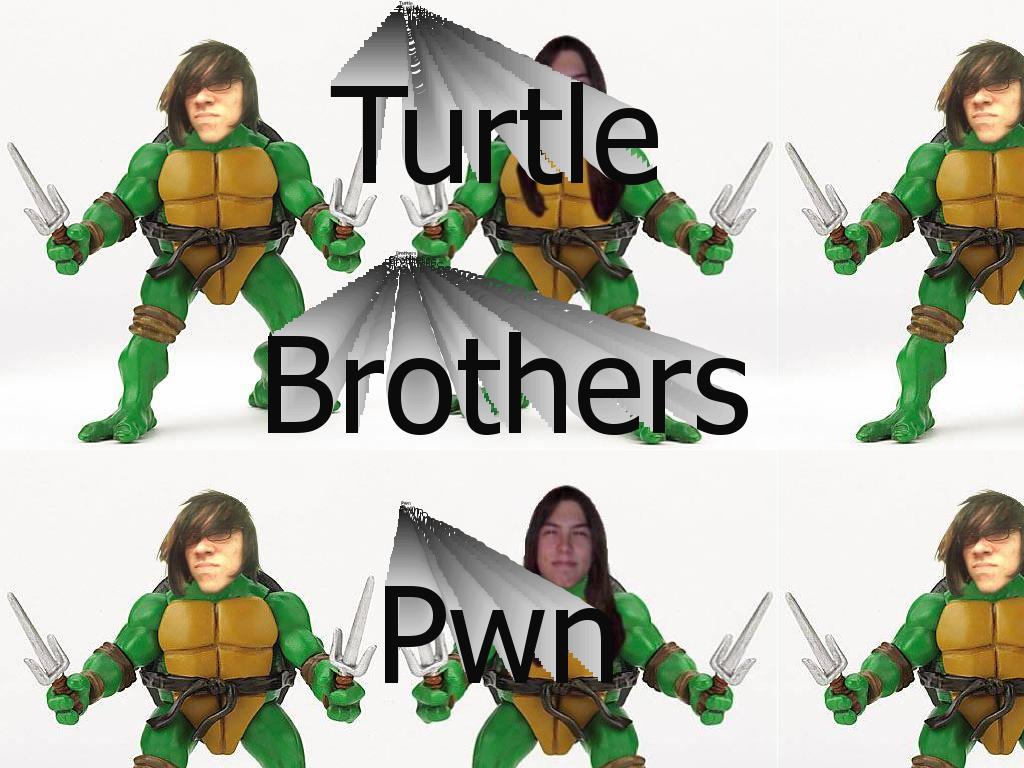 TurtleBros
