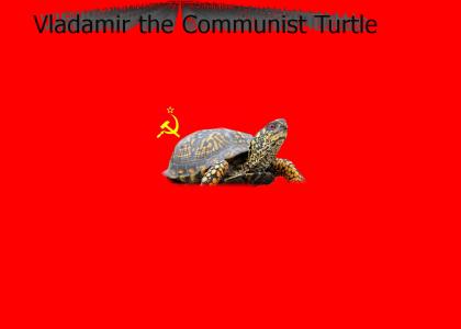 Communist Turtle