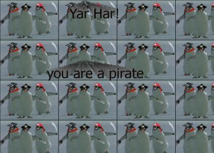Penguin Pirate