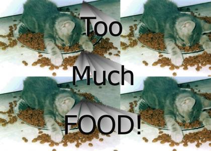 catfood overdose!