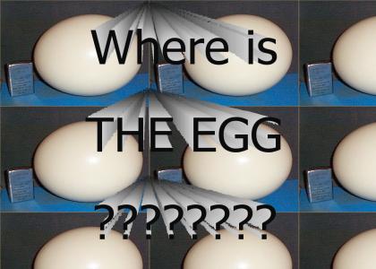 Where is the egg?