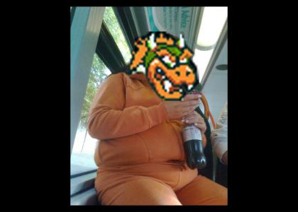 Bowser on the train