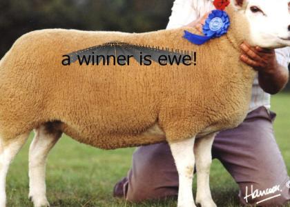 A winner is you!