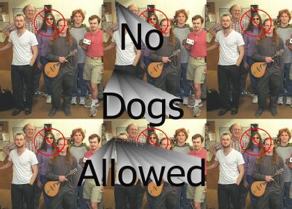 No Dogs Allowed