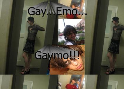 Gay...Emo...Gaymo!!!