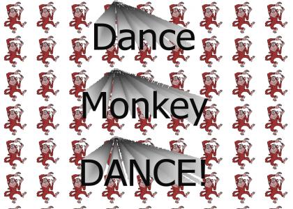monkeydance