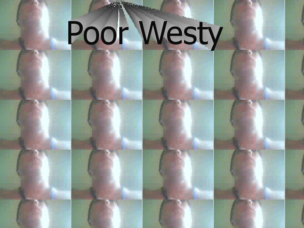 westytesty
