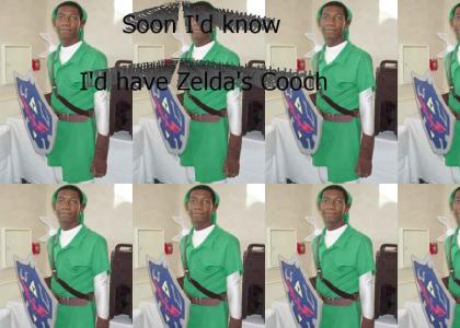 Nigga stole my Hylian shield!