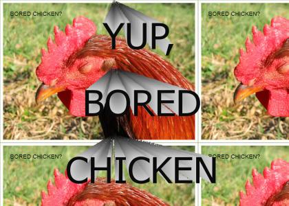 Bored Chicken?