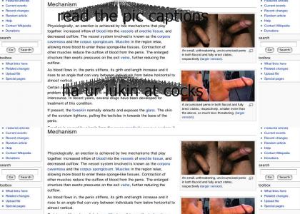 Wikipedia hates cocks