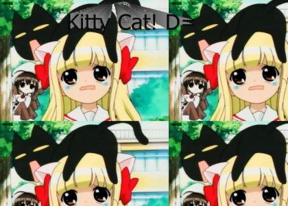 Kitty D: