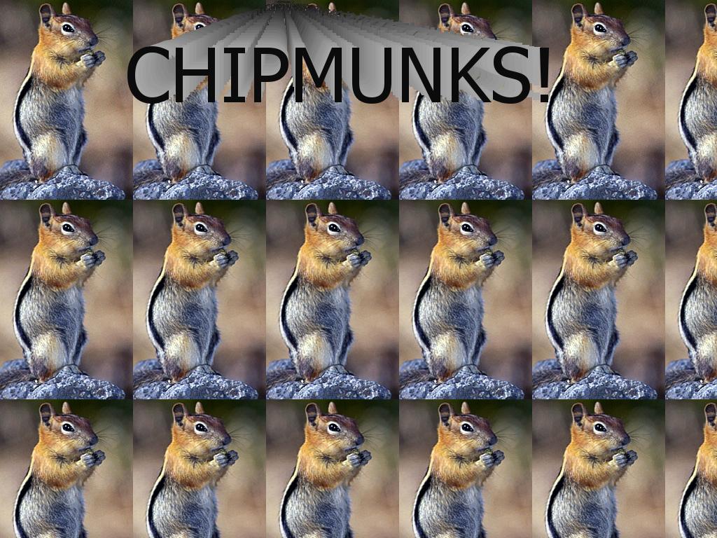 chipmunks