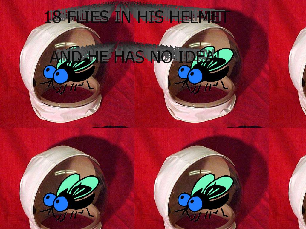 fliesinahelmet