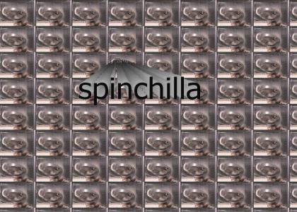 chinchilla spin