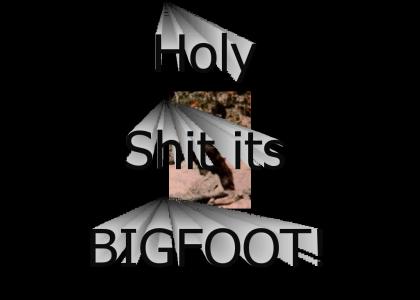 Holy Sh** its Bigfoot!