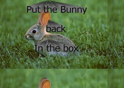 put da bunny in da box