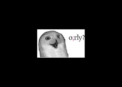 Orly owl borrows NEDM