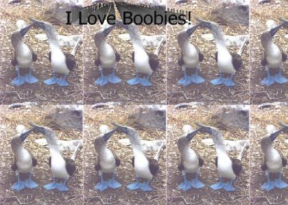 Who Loves Bobbies?