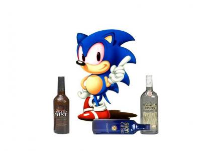 Drunk Sonic gives advice!